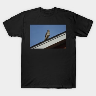 Hawk T-Shirt